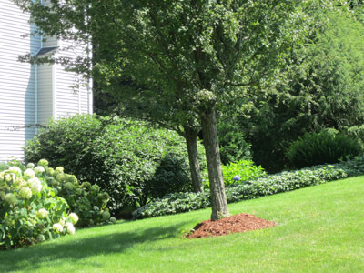 Residential lawn care